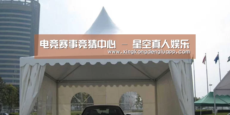 案例标题八