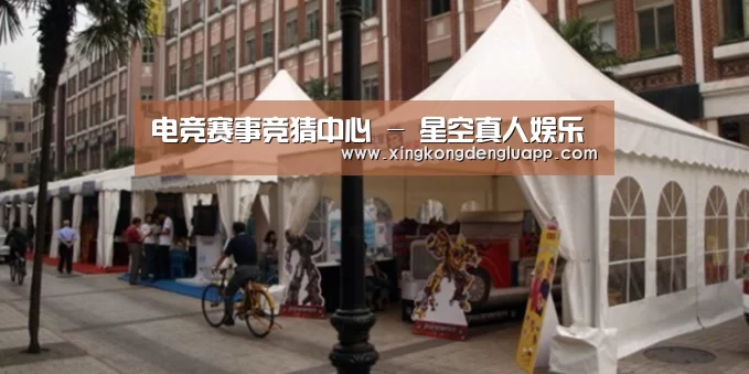 案例标题九
