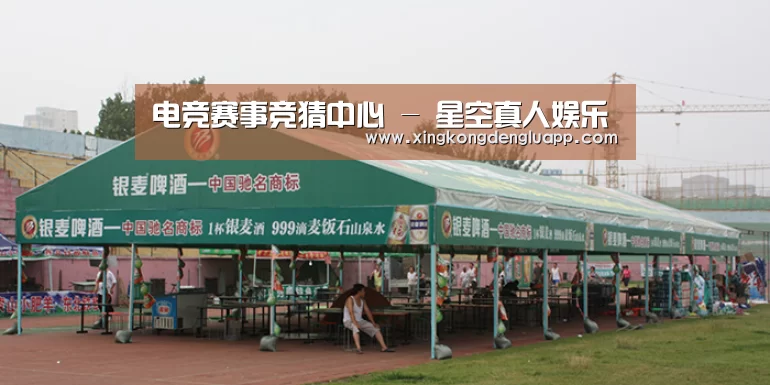 案例标题七