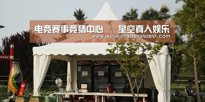 案例标题五