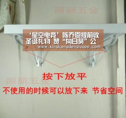 ‘星空电竞’陈乔恩提前收圣诞礼物 赞“向日葵”公益善行(图1) 星空赛事
