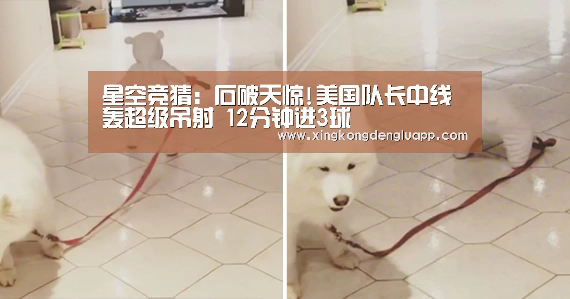 星空竞猜:石破天惊!美国队长中线轰超级吊射 12分钟进3球(图4) 星空赛事